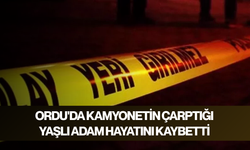 Ordu'da kamyonetin çarptığı yaşlı adam hayatını kaybetti