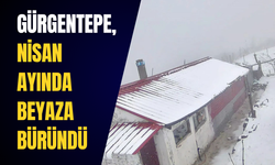 Gürgentepe, Nisan ayında beyaza büründü