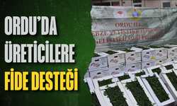Ordu’da üreticilere fide desteği