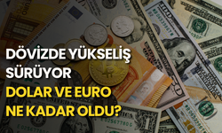 Dövizde yükseliş sürüyor: Dolar ve euro ne kadar oldu?