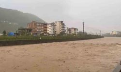 Trabzon'un Araklı ilçesinde şiddetli yağış