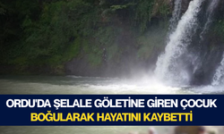 Ordu'da şelale göletine giren çocuk boğularak hayatını kaybetti