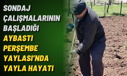 Sondaj çalışmalarının başladığı Aybastı Perşembe Yaylası’nda yayla hayatı