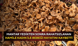 Mantar yedikten sonra rahatsızlanan hamile kadın ile bebeği hayatını kaybetti