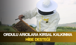 Ordulu arıcılara Kırsal Kalkınma hibe desteği
