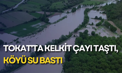 Tokat'ta Kelkit Çayı taştı, köyü su bastı