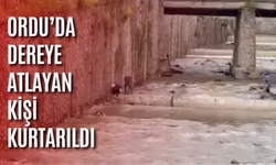 Ordu’da dereye atlayan kişi kurtarıldı