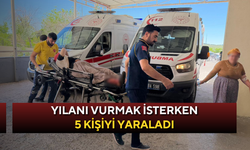 Yılanı vurmak isterken 5 kişiyi yaraladı