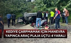 Kediye çarpmamak için manevra yapınca araç plaja uçtu: 4 yaralı