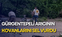 Gürgentepeli arıcının kovanlarını sel vurdu