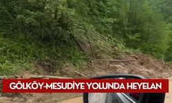 Gölköy-Mesudiye yolunda heyelan