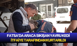 Fatsa’da araca sıkışan yavru kedi itfaiye tarafından kurtarıldı