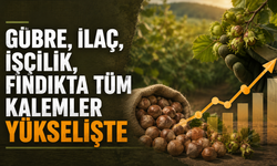 Gübre, ilaç, işçilik, fındıkta tüm kalemler yükselişte