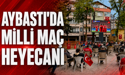 Aybastı'da Milli maç heyecanı