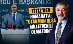 Titiz'den Hamarat'a: "Utanman olsa milletvekili olmazdın"