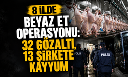 8 ilde beyaz et operasyonu: 32 gözaltı, 13 şirkete kayyum