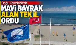 Doğu Karadeniz’de Mavi Bayrak alan tek il Ordu oldu