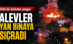 Ordu'da korkutan yangın: Alevler yan binaya sıçradı
