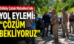 Gölköy Çatak Mahallesi’nde yol eylemi: “Çözüm bekliyoruz”