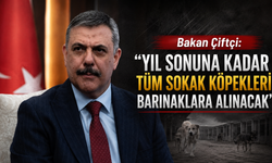 Bakan Çiftçi: “Yıl sonuna kadar tüm sokak köpekleri barınaklara alınacak”