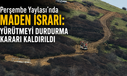 Perşembe Yaylası'nda maden ısrarı: Yürütmeyi durdurma kararı kaldırıldı