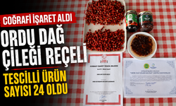 "Ordu dağ çileği reçeli" coğrafi işaret aldı: Tescilli ürün sayısı 24 oldu