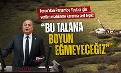 Torun'dan Perşembe Yaylası için verilen mahkeme kararına sert tepki: "Bu talana boyun eğmeyeceğiz"