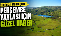 Bilirkişi raporu çıktı: Perşembe Yaylası için güzel haber