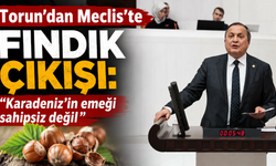 Torun'dan Meclis'te fındık çıkışı: “Karadeniz’in emeği sahipsiz değil”
