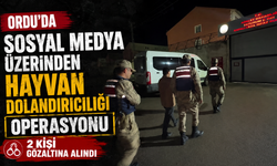 Ordu’da sosyal medya üzerinden hayvan dolandırıcılığı operasyonu: 2 kişi gözaltına alındı