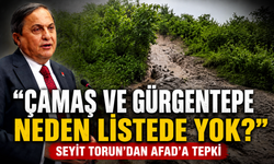 "Çamaş ve Gürgentepe neden listede yok?" Seyit Torun’dan AFAD’a tepki