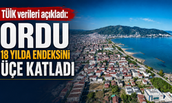 TÜİK verileri açıkladı: Ordu 18 yılda endeksini üçe katladı