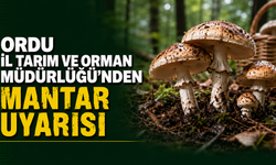 Ordu İl Tarım ve Orman Müdürlüğü’nden mantar uyarısı
