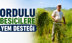 Ordulu besicilere yem desteği