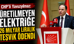CHP'li Yavuzyılmaz: "Üretilmeyen elektriğe 26 milyar liralık teşvik ödendi"