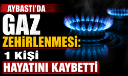 Aybastı’da gaz zehirlenmesi: 1 kişi hayatını kaybetti