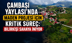 Çambaşı Yaylası'nda maden projesi için kritik süreç: Bilirkişi sahaya iniyor