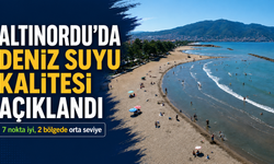 Altınordu'da deniz suyu kalitesi açıklandı: 7 nokta iyi, 2 bölgede orta seviye