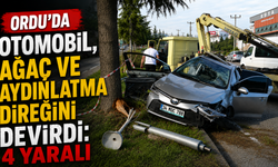 Ordu'da otomobil, ağaç ve aydınlatma direğini devirdi: 4 yaralı