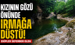 Kızının gözü önünde ırmağa düştü: Ekipler seferber oldu