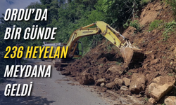 Ordu’da bir günde 236 heyelan meydana geldi