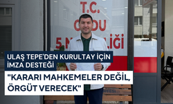Ulaş Tepe'den Kurultay için imza desteği: "Kararı mahkemeler değil, örgüt verecek"