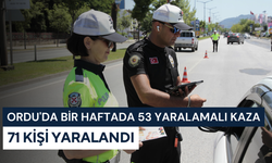 Ordu'da bir haftada 53 yaralamalı kaza: 71 kişi yaralandı