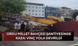 Ordu Millet Bahçesi şantiyesinde kaza: Vinç yola devrildi