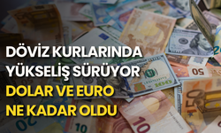 Döviz kurlarında yükseliş sürüyor: Dolar ve euro ne kadar oldu?