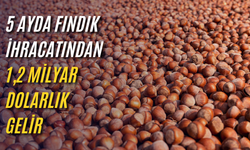 5 ayda fındık ihracatından 1,2 milyar dolarlık gelir
