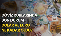 Döviz kurlarında son durum: Dolar ve euro ne kadar oldu?