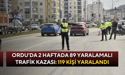 Ordu'da 2 haftada 89 yaralamalı trafik kazası: 119 kişi yaralandı