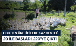 OBB'den üreticilere kaz desteği: 20 ile başladı, 220'ye çıktı