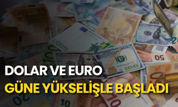 Dolar ve euro güne yükselişle başladı